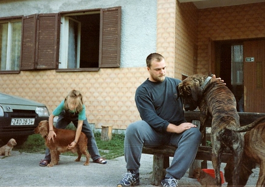 009.jpg